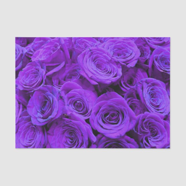 romantic violet purple roses, pretty rose bouquet tissue paper (Front)