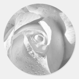 Romantic White Bridal Rose Classic Round Sticker