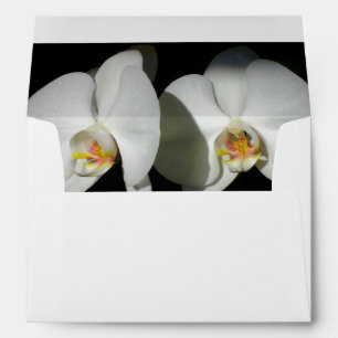 Romantic White Orchids, tropical floral photo Envelopes
