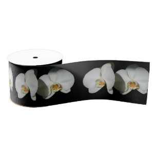 Romantic White Orchids, tropical floral photo Grosgrain Ribbon