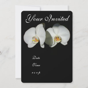 Romantic White Orchids, tropical floral photo Invitation