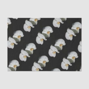 Romantic White Orchids, tropical floral photo Tissue Paper