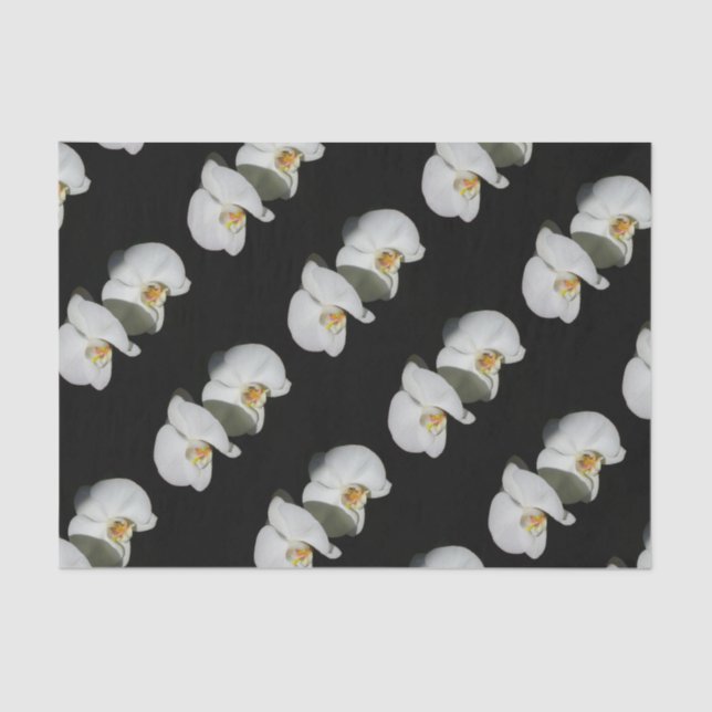 Romantic White Orchids, tropical floral photo Tissue Paper (Front)
