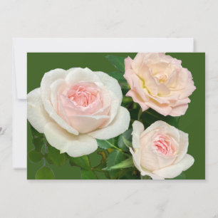 Romantic white pink roses invitation