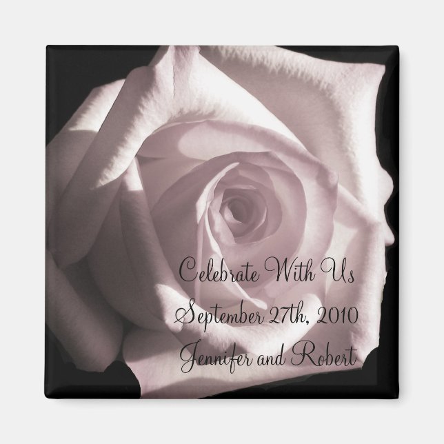 Romantic White Rose Magnet (Front)