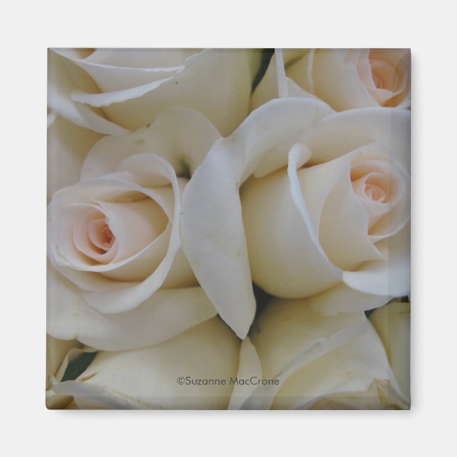 Romantic White Roses - Square Magnet (Front)