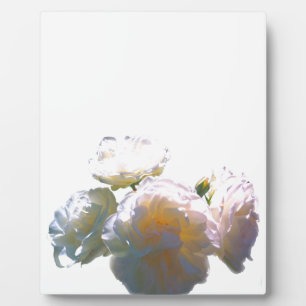 Romantic white, yellow, orange, golden amber roses plaque