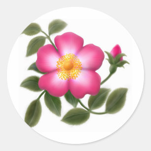 Romantic Wild Rose Classic Round Sticker