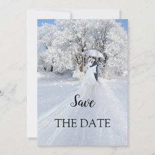 Romantic Winter Wonderland Save the Date Card