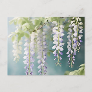 Romantic Wisteria Vine Watercolor on Dusty Blue Postcard