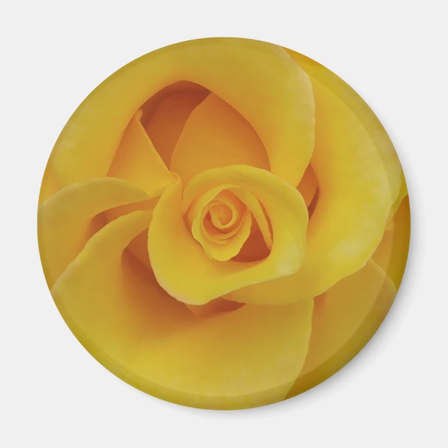 Romantic Yellow Rose Petals Magnet (Front)