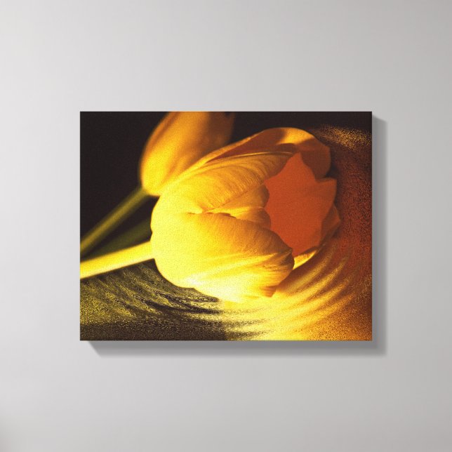 Romantic Yellow Tulip Canvas Print (Front)