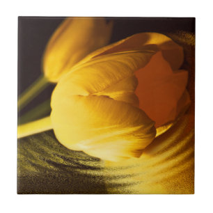 Romantic Yellow Tulip Tile