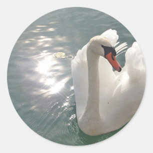 Romantischer weisser Schwan Classic Round Sticker