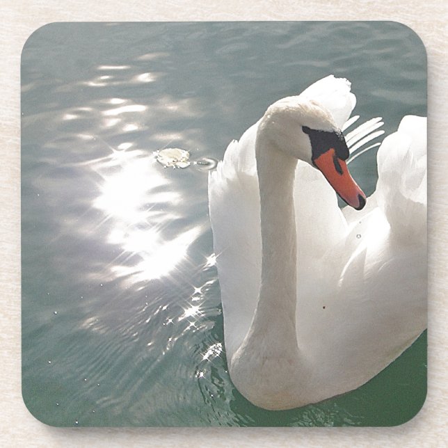Romantischer weisser Schwan Coaster (Front)