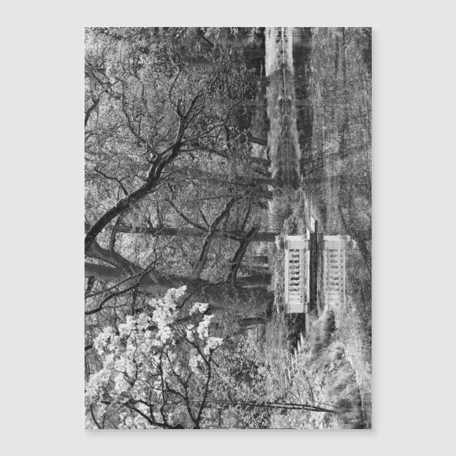 Romatic lake (Front)