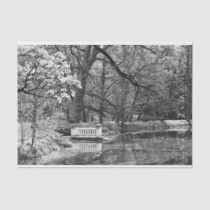 Romatic lake tissue paper
