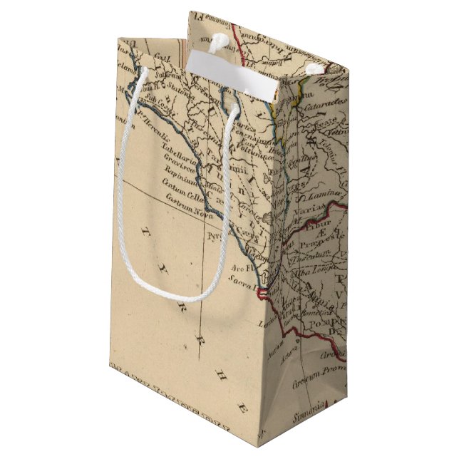 Rome 3 small gift bag (Back Angled)