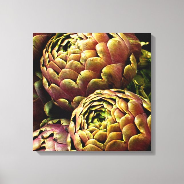 Rome Artichokes Canvas Print (Front)