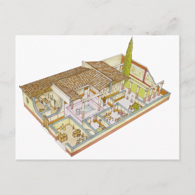 Rome. Domus Postcard (Front)