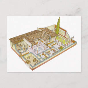 Rome. Domus Postcard