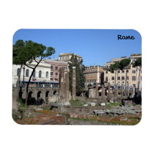 Rome (Largo di Torre Argentina) Magnet