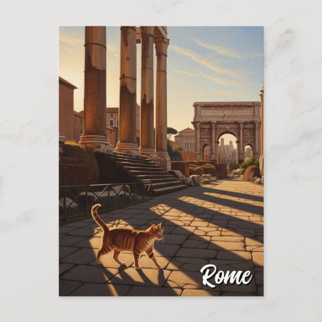 Rome Spanish Steps Italy Travel Postcard (Front)