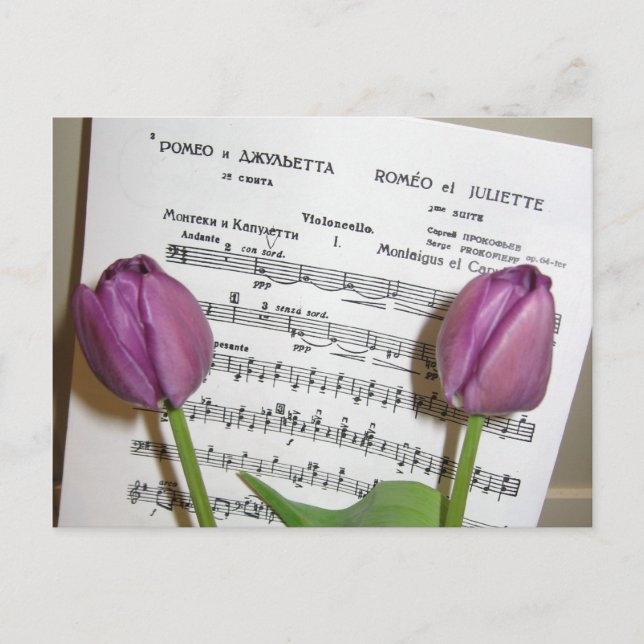 Romeo & Juliet postcard (Front)