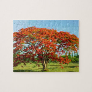 Rompecabeza Flamboyán/Royal Poinciana Puzzle