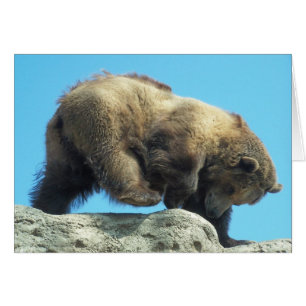 romping on the rocks