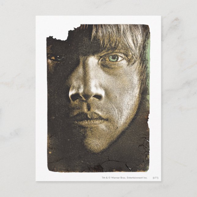 Ron Weasley 1 Postcard (Front)
