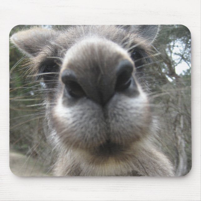 Roo Bob Mouse Mat (Front)