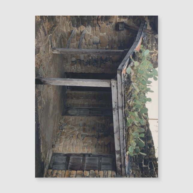 Roof Cactus magnet (Front)