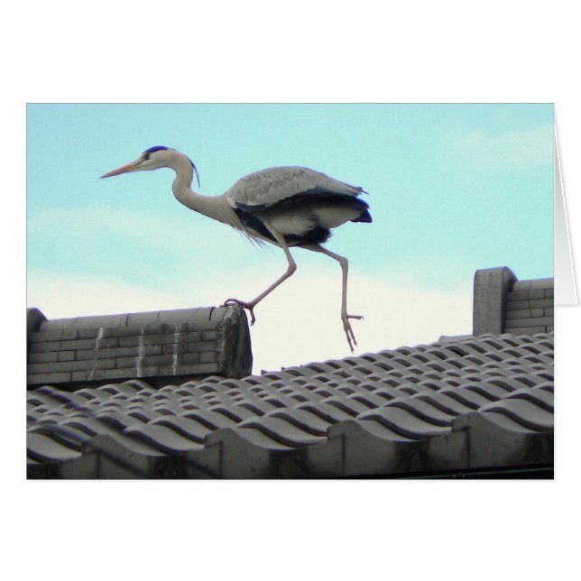 Roof Runner (Front Horizontal)