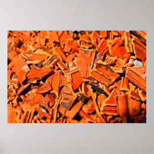 Roof tiles brick red roof panels poster