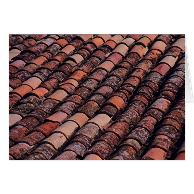 ROOF TILES ON EUROPEAN BUILDING (Front Horizontal)