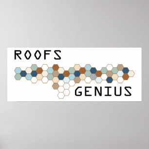 Roofs Genius Poster