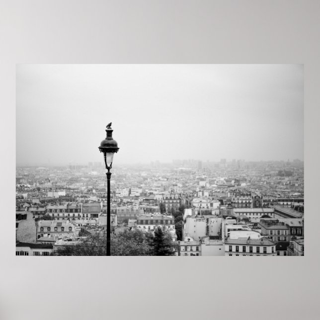 Roofs of the Paris - Poster (Front)