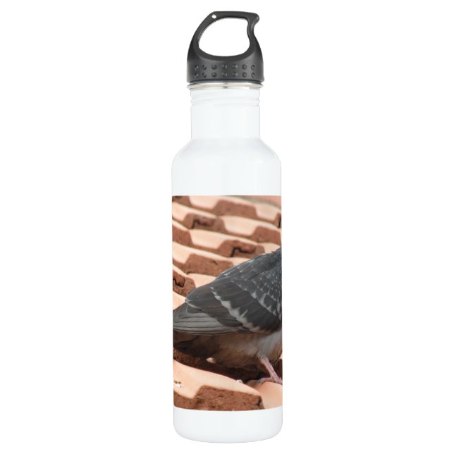 Rooftop Pigeon 710 Ml Water Bottle (Front)
