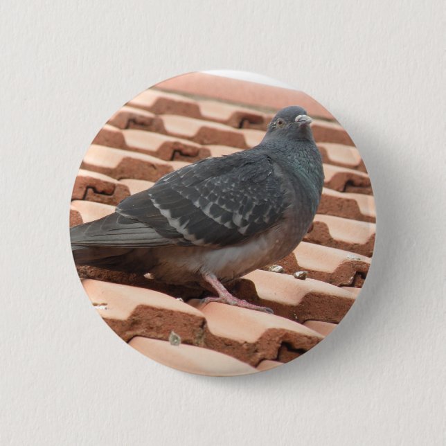 Rooftop Pigeon Button (Front)