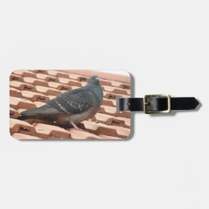 Rooftop Pigeon Custom Luggage Tag