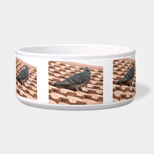 Rooftop Pigeon Dog Bowl