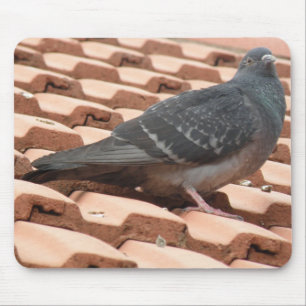 Rooftop Pigeon Mousepad