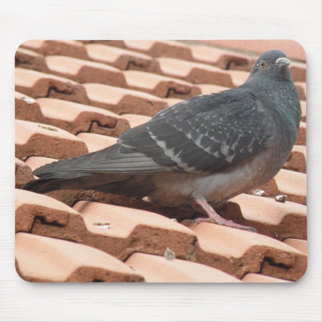 Rooftop Pigeon Mousepad (Front)