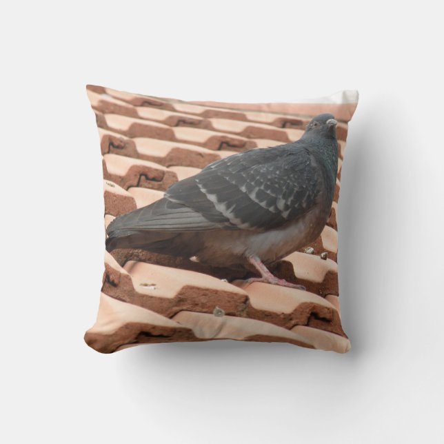 Rooftop Pigeon Pillow (Front)
