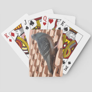 Rooftop Pigeon Playing Cards