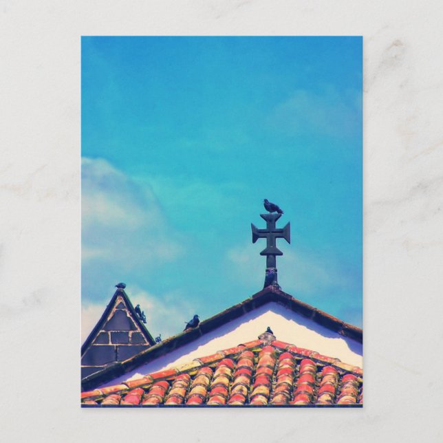 Rooftop Visitors : Funchal, Madeira (Portugal) Postcard (Front)