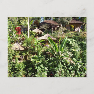 Room with a view, Ubud, Bali Indonesia Postcard
