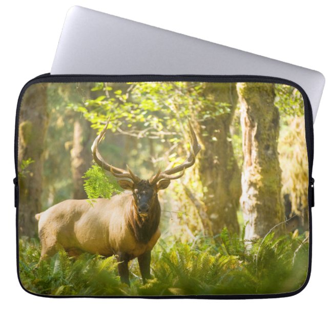 Roosevelt Elk | Olympic National Park, Washington Laptop Sleeve (Front)