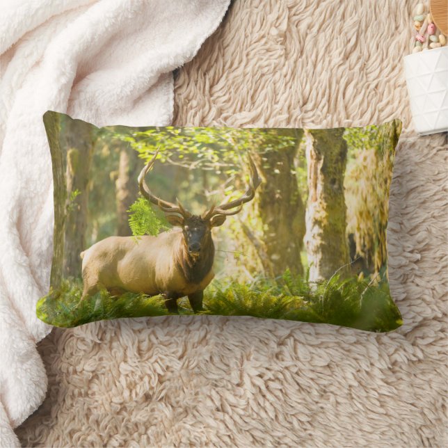 Roosevelt Elk | Olympic National Park, Washington Lumbar Cushion (Blanket)